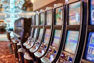 build sport betting app, crypto bet app, gamble site, sport app, bet app