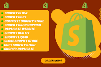 duplicate clone shopify copy shopify dropshipping store website bug fix liquid