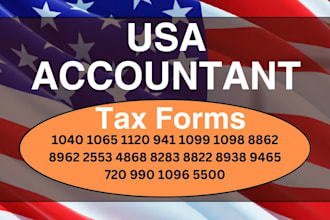 prepare and efile us tax returns 1040, 1120, 1065 and 1120s