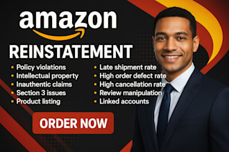 reactivate and reinstate suspended amazon acccount, letter of appeal, section 3