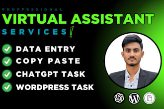 be a virtual assistant for data entry, copy paste, cgatgpt, wordpress