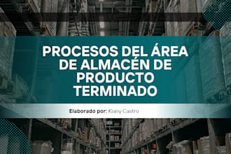 develop process documentation and sop manuals for your team