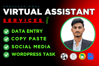 be a virtual assistant for data entry, copy paste, social media, wordpress task