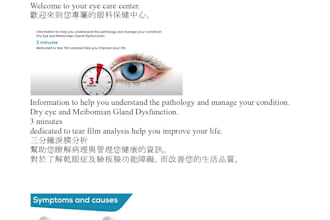 translate chinese to english or vice versa
