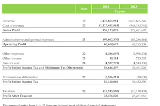 do balance sheet, profit and loss and financial statements