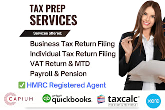 file UK ct600, annual accounts, vat returns, and handle hmrc compliance
