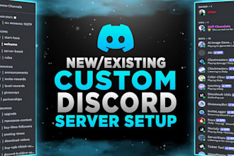 setup new discord and existing discord server setup within 24 hours