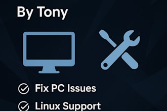 provide professional remote IT support for your PC issues
