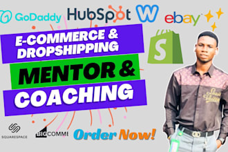 be your shopify mentor expert manager dropshipping coach shopify consultant VA