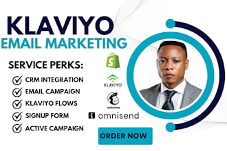 create high converting klaviyo email flows and campaigns