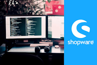 fix shopware 6 issues, bugs, support, updates, and custom modifications