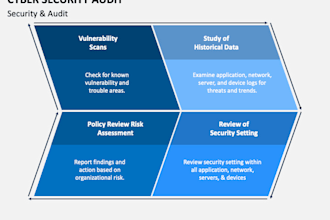 do white hat security audit and vulnerability assessment