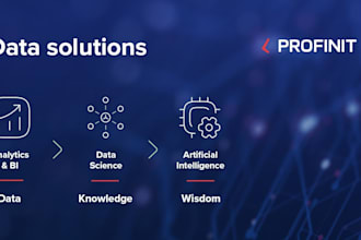 deliver data oriented robust solution within budget and time