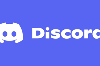 create discord server setup with bots roles and channels