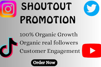 do twitter shoutout website link product to yt,fb,ig,target audience