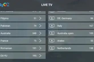 setup iptv server, reseller panel, and custom iptv app