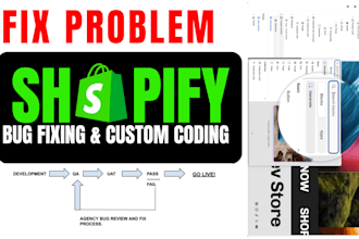 do shopify bug fixing and shopify custom coding shopify expert