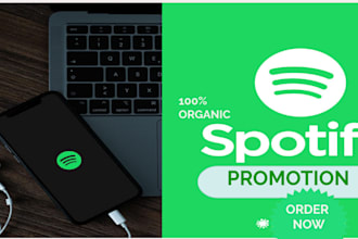 promote your spotify music album professionally, artist growth
