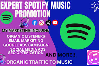 run experience spotify ads for your music, album successfully, music marketing