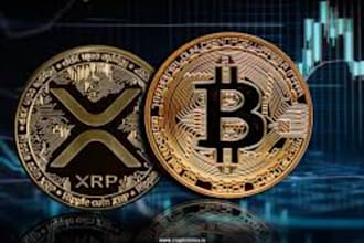 grow crypto telegram promotion, crypto telegram marketing