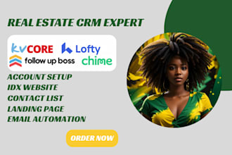 setup and manage real estate crm, lofty crm, kvcore, idx website, follow up boss