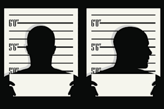 erase mugshots delete negative links erase bad article false news from google