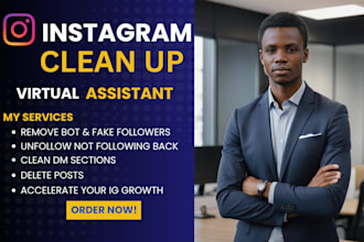 remove fake, ghost, and bot followers from your instagram safely