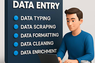 clean, organise, enrich, and enter your data professionally