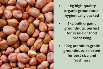 deliver fresh, organic groundnuts in bulk with quality assurance