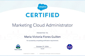 set up and optimize your salesforce marketing cloud and pardot