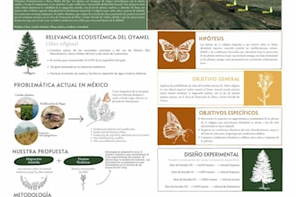 design impactful reports and visuals on climate and sdgs