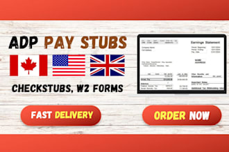 create professional adp stubs for my clients