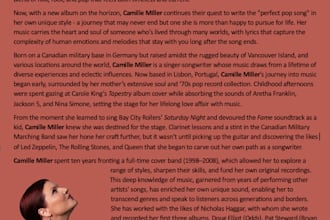 write an authentic and compelling artist or band biography