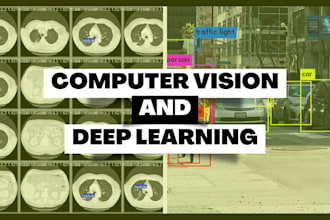 develop custom deep learning computer vision solutions