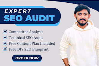 do seo audit and make DIY action plan