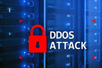 setup website security audit find vulnerabilities, sqli, XSS, csrf