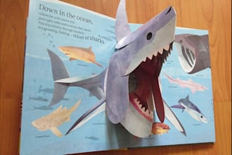 design your pop up book design for your business, brand
