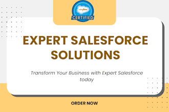 be your salesforce consultant, flow builder, and CRM specialist