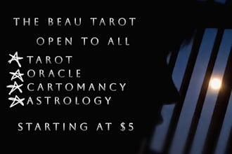 give a personal in depth tarot and oracle reading through video or call