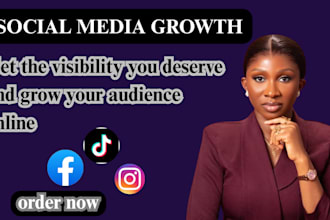 run targeted facebook campaign  instagram and tiktok ads to grow your business