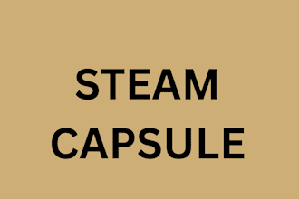 do steam capsule art for your game