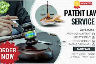 provide professional patent writing and application support