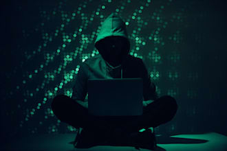 find fraud investment offering and investigation cryptocurrency