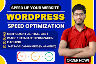 do wordpress speed optimization for google pagespeed insight