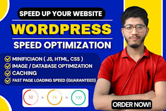 do wordpress speed optimization for google pagespeed insight
