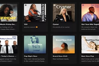 add your song to a high quality, curated spotify playlist