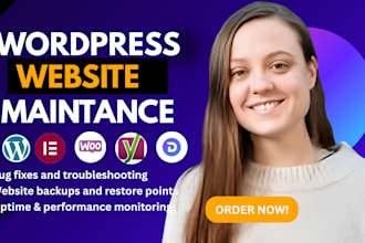 provide wordpress website maintenance, support, and technical help