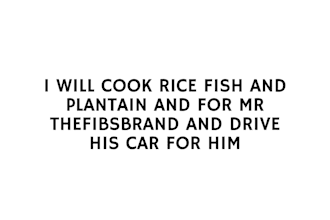 cook rice fish and plantain and mr thefibsbrand and drive his car for him