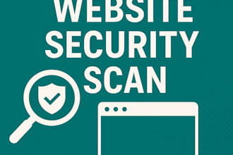 perform a professional security check on your website