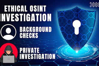 do private investigation osint background check due diligence osint dectective